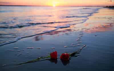 Centro Lágrima Blanco y Rojo, Centros de Flores para Tanatorio, Flores para Difuntos, Flores para Fallecimientos, Centro para dar Condolencias