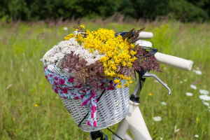 Comprar Flores Online, Ramos de Flores a Domicilio, Regalar Ramos de Flores, Floristería en Murcia, Envíos Florales Urgentes a Murcia