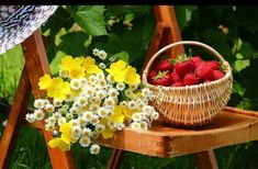 Cesta de Frutas Madagascar, Floristería de Murcia, Enviar Cestos Frutas Regalo, Cesta Regalar en Oficinas, Cestos Regalar en Acontecimientos Especiales