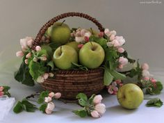 Cesta Pequeña Frutas Congo, Cesta Frutas Variadas, Cestas de Frutas de Regalo a Domicilio, Cestas de Fruta para Ocasiones Especiales, Floristería Online