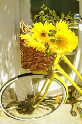 Comprar Centro de Flores Online, Floristería de Murcia, Flores y Cestas de Frutas para Regalar, Regalar Flores en Murcia, Enviar Flores en Murcia