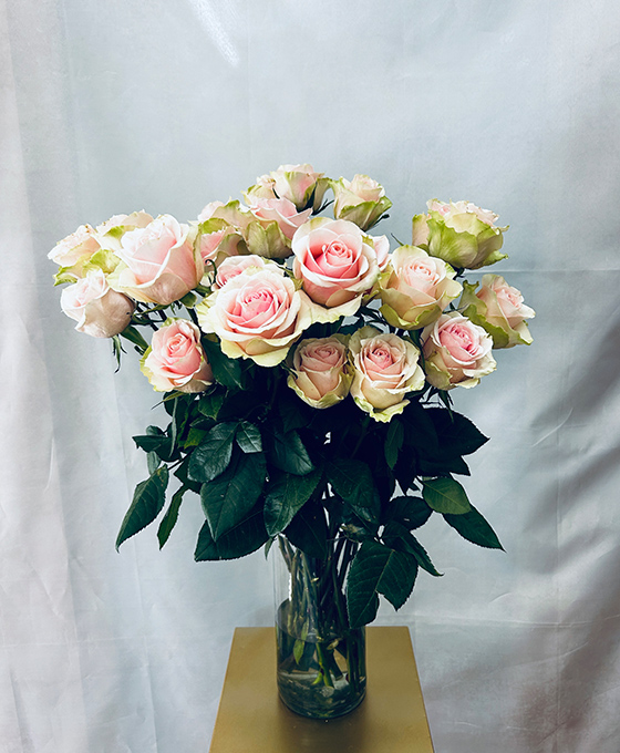Ramo Rosas Rosadas